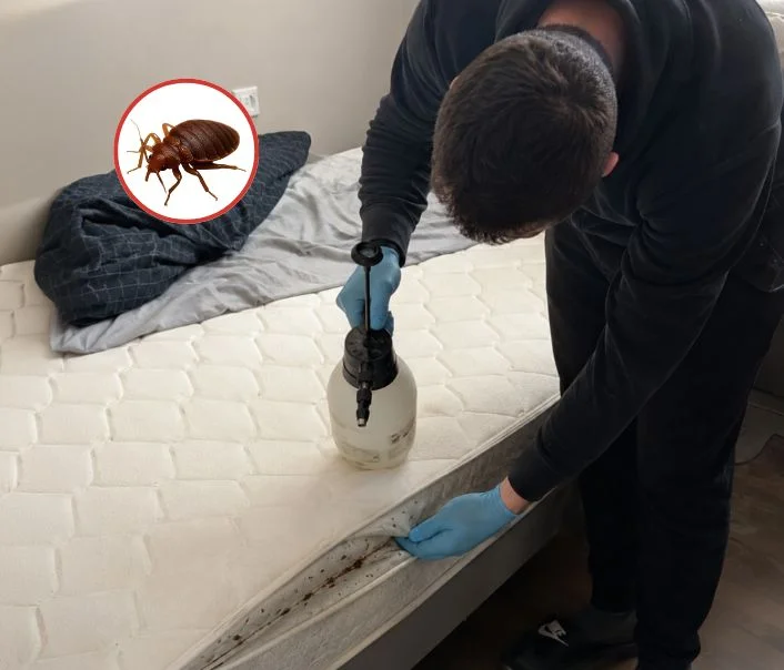 Technicien traitant un matelas contre les punaises de lit à Sevran